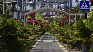 Avenida de Mayo en Santa Cruz de Tenerife