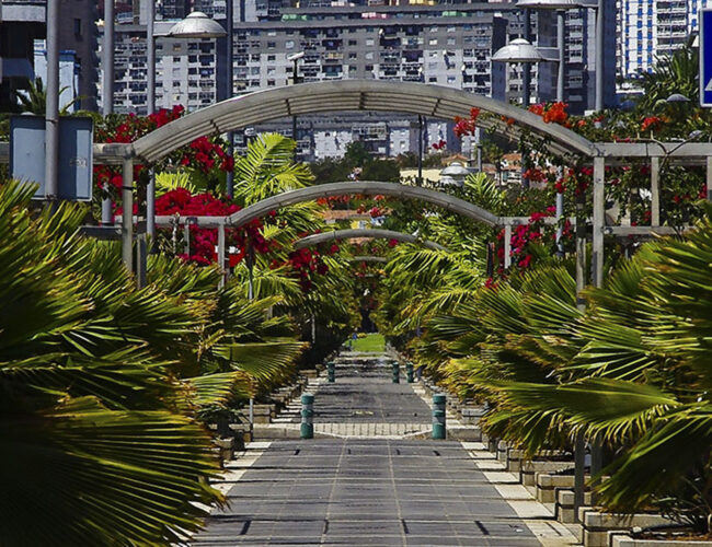 Avenida 3 de Mayo en Santa Cruz de Tenerife (2)