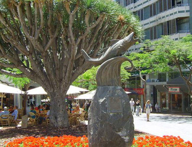 Calle San Jose en Santa Cruz de Tenerife (3)