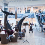 Centro comercial Meridiano en Santa Cruz de Tenerife