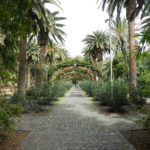 Parque García Sanabría en Santa Cruz de Tenerife