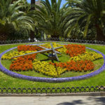 Park García Sanabría in Santa Cruz de Tenerife