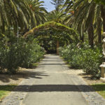 Parque García Sanabría en Santa Cruz de Tenerife