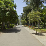 Parque García Sanabría en Santa Cruz de Tenerife