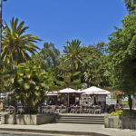 Parque García Sanabría en Santa Cruz de Tenerife