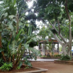 Plaza El Principe en Santa Cruz de Tenerife