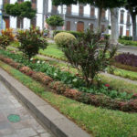 Plaza Weyler en Santa Cruz deTenerife