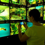 museo de la naturaleza y el hombre en santa cruz de tenerife