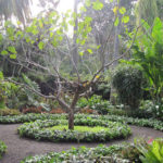 museo de las ciencias naturales en Santa Cruz de Tenerife