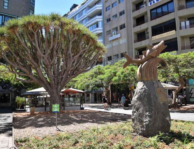 Plaza del Chicharro en Santa Cruz de Tenerife (1)